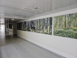 Hôpital Albert Schweitzer — Photographie par Abel Mauvais