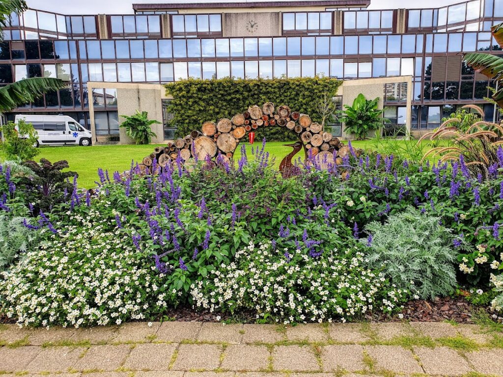 Hôpital de Colmar — Photographie par Jean Thomas