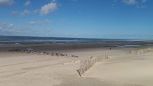 Hôpital Hopale - Institut Calot — Photographie par Reynald Testu