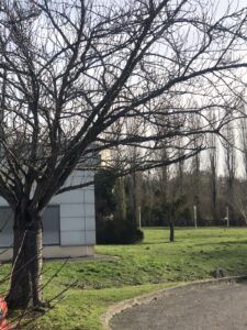  site de Meaux — Photographie par Pauline Ledinot