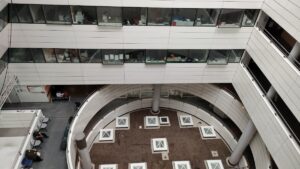 Hôpital François Quesnay de Mantes-la-Jolie — Photographie par Albert yu