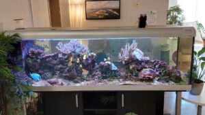 Clinique Clémentville — Photographie par Luc DEZECACHE