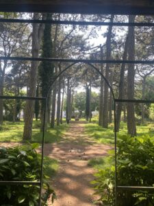 Hôpital Saint Jean de Dieu — Photographie par negin ahmadi