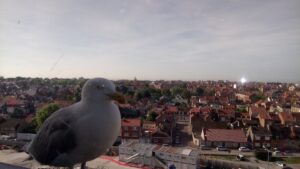 Hôpital de Dunkerque — Photographie par christelle nicole parsis