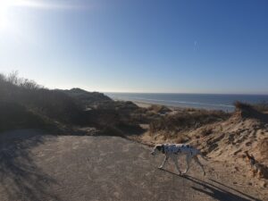 Hôpital Maritime de Zuydcoote — Photographie par Florence