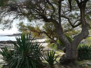 Centre de Rééducation et de Réadaptation Fonctionnelle Kerpape — Photographie par jeanine brohan