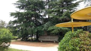 Hôpital Neuro Cardio des HCL — Photographie par bertrand marsac