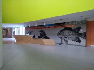 Groupement Hospitalier de la Haute-Saône — Photographie par Brico Stuff